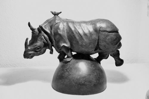 Nordemann-Tracey-Rhino1